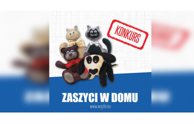 Konkurs - Zaszyci w domu