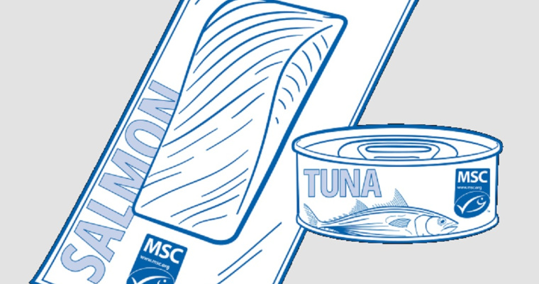 Konkurs Wybierz najlepszy produkt MSC 2023