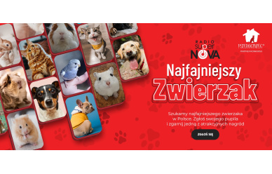 Konkurs Najfajniejszy zwierzak w Polsce 