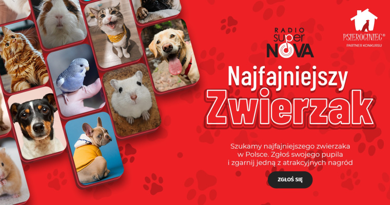 Konkurs Najfajniejszy zwierzak w Polsce 
