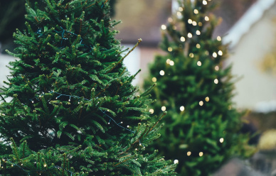 Konkurs z Christmas-Tree