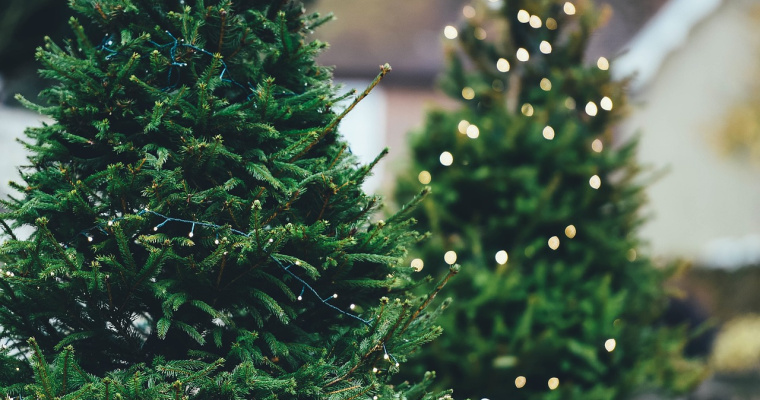 Konkurs z Christmas-Tree
