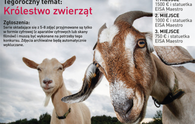 Międzynarodowy Konkurs Fotograficzny EISA MAESTRO 2023