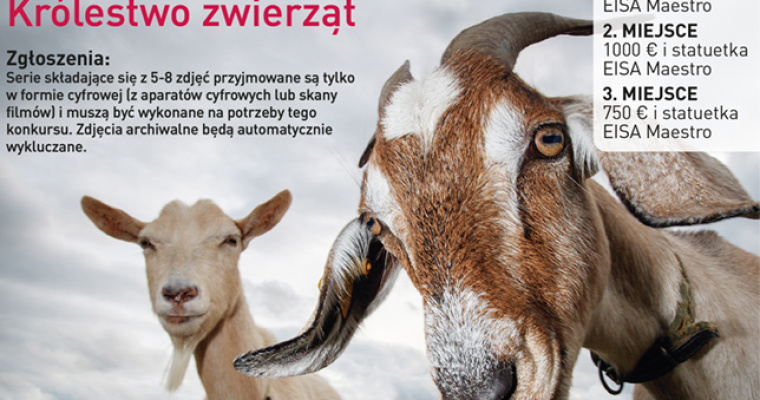 Międzynarodowy Konkurs Fotograficzny EISA MAESTRO 2023