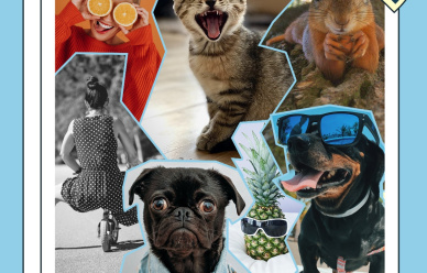 Konkurs fotograficzny - 100 powodów do uśmiechu