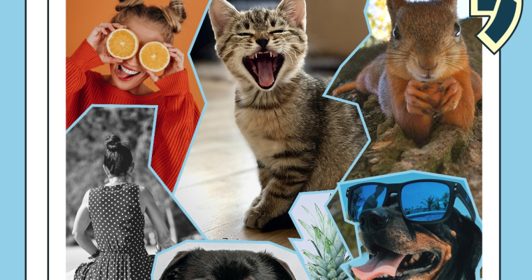 Konkurs fotograficzny - 100 powodów do uśmiechu