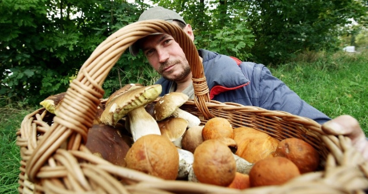 WSSE Rzeszów oferuje darmowe porady dotyczące grzybów - Zapisz się teraz!