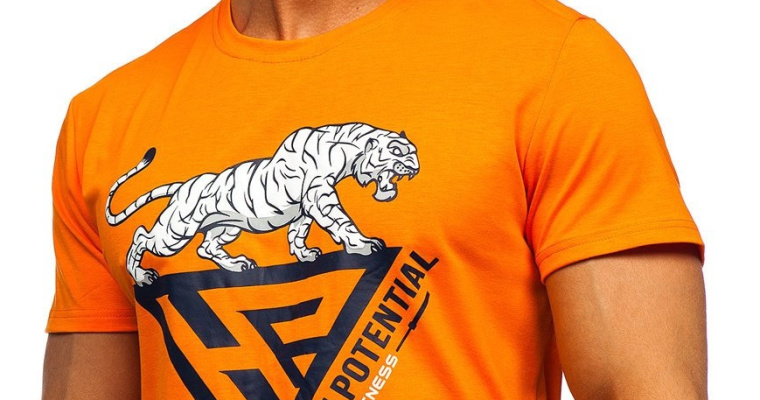 Pomarańczowy T-shirt męski z nadrukiem Denley w promocji!