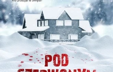 Konkurs - Pod Czerwonym Aniołem