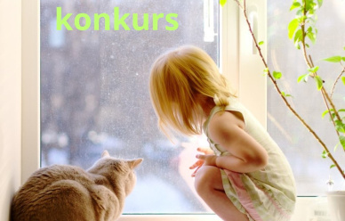 Konkurs - Przez czyste szyby świat wygląda ciekawiej