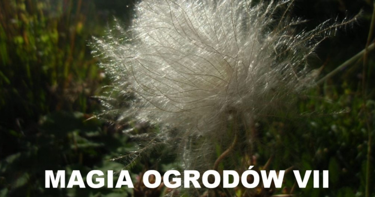 VII Ogólnopolski Konkurs Poetycki Magia Ogrodów