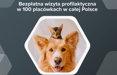 Ogólnopolski bezpłatny przegląd zdrowia psów i kotów