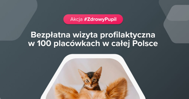 Ogólnopolski bezpłatny przegląd zdrowia psów i kotów