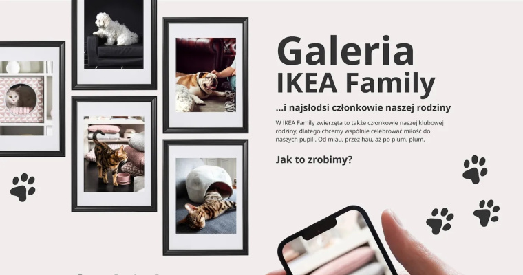 Konkurs Czworonożni członkowie rodziny - IKEA