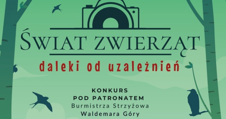 VII ogólnopolski konkurs fotograficzny 