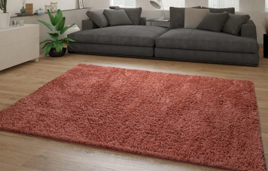 Dywan Shaggy 160x230 w promocyjnej cenie! 