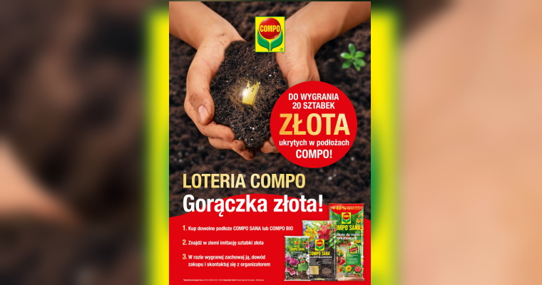 Gorączka złota z Compo