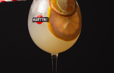Świętuj w stylu Martini w sklepach Biedronka!